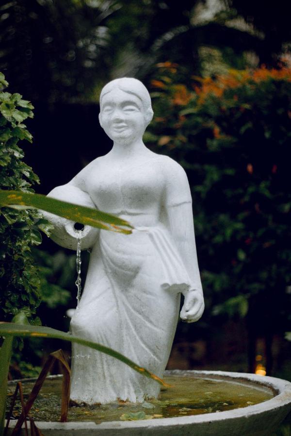 Bananas Mirissa Hotel ภายนอก รูปภาพ