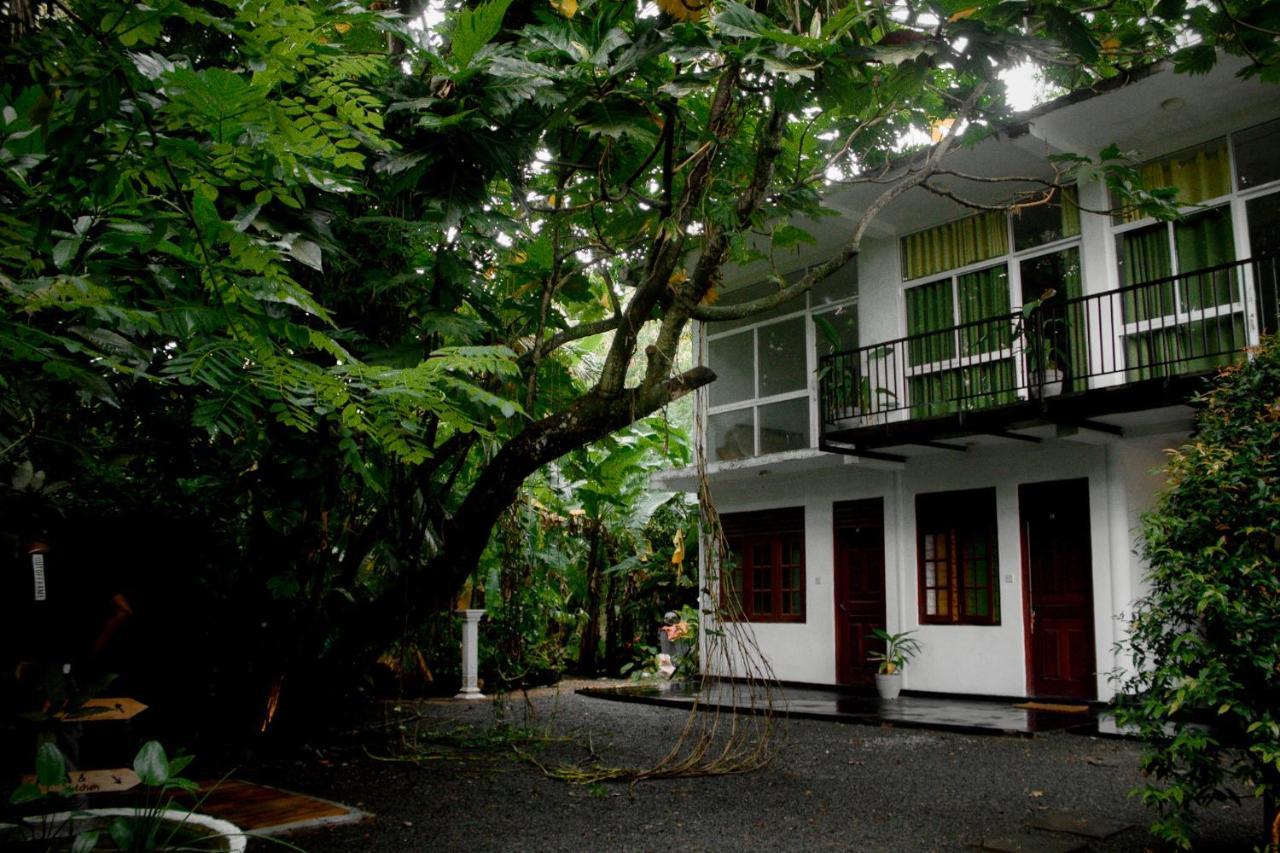 Bananas Mirissa Hotel ภายนอก รูปภาพ